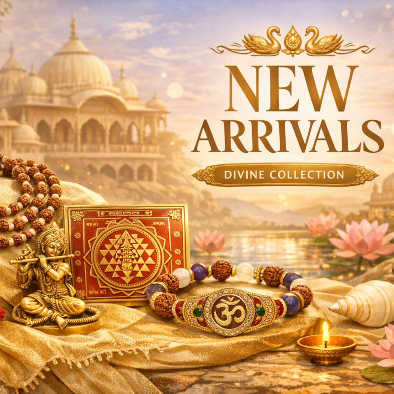 New Arrival