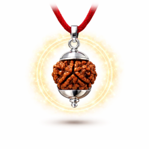 3 Mukhi Rudraksha pendant with red thread