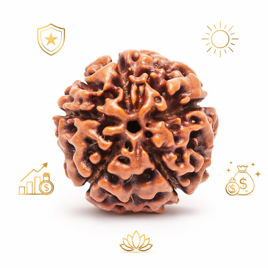 5 Mukhi Rudraksha Nepal – Natural Certified Rudraksha for Puja & Meditation - Image 5